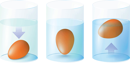 eier test wasser