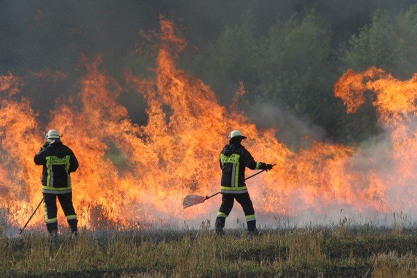 flächenbrand